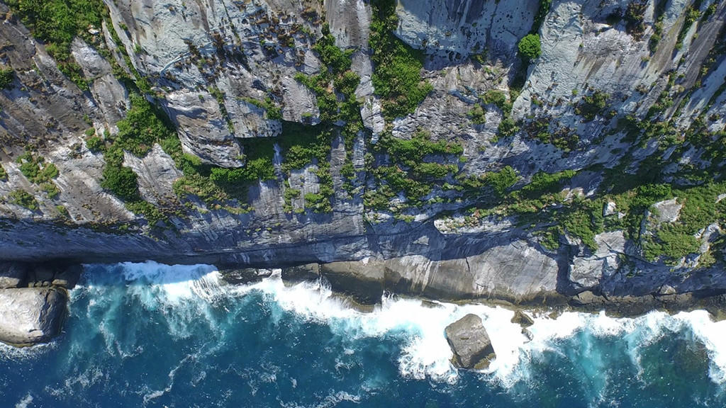 Dao ran doc dang so o Brazil hinh anh 2