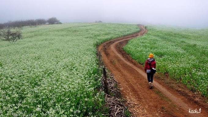Lên lịch sẵn cho kế hoạch \'săn hoa\' khắp 12 tháng trong năm