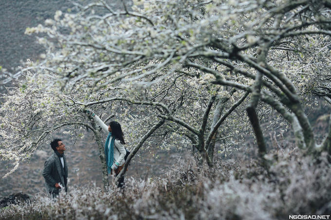 Lên lịch sẵn cho kế hoạch \'săn hoa\' khắp 12 tháng trong năm