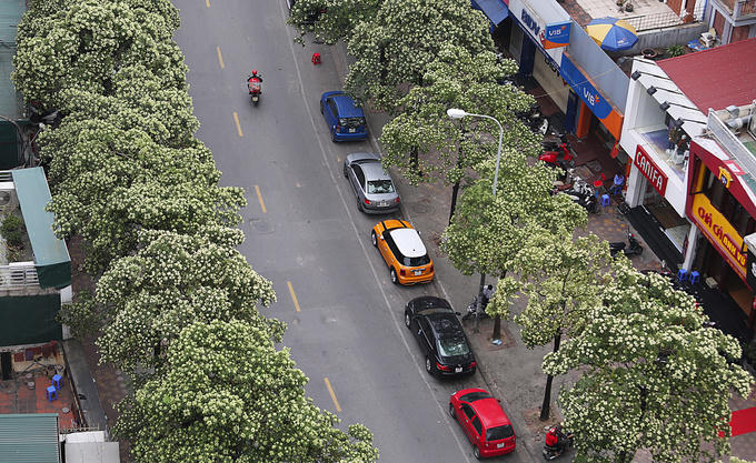 Lên lịch sẵn cho kế hoạch \'săn hoa\' khắp 12 tháng trong năm