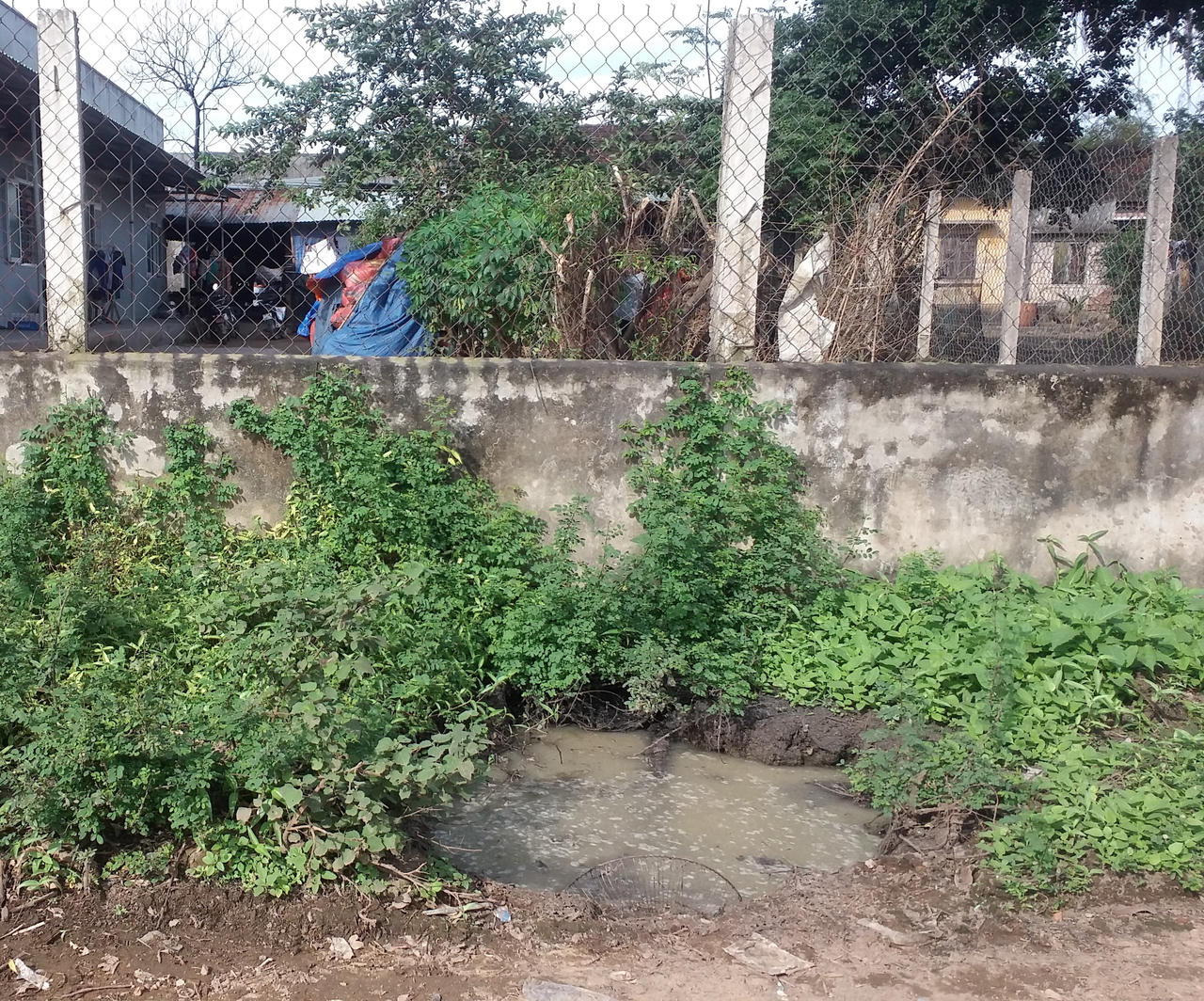 Ô nhiễm trầm trọng ở làng nghề bún tươi Ngãi Chánh