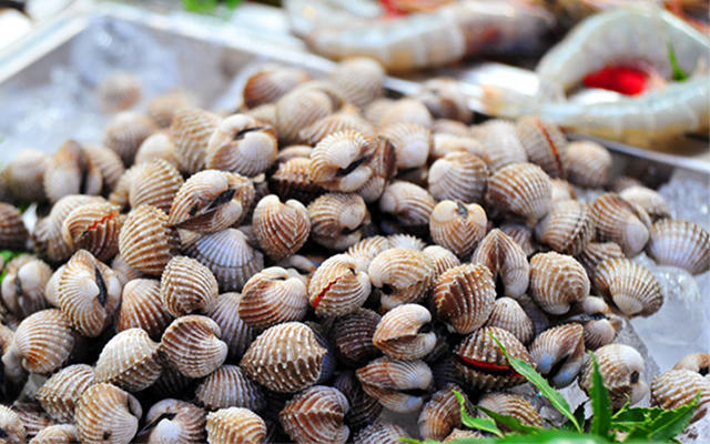 Kết quả hình ảnh cho nghêu sò