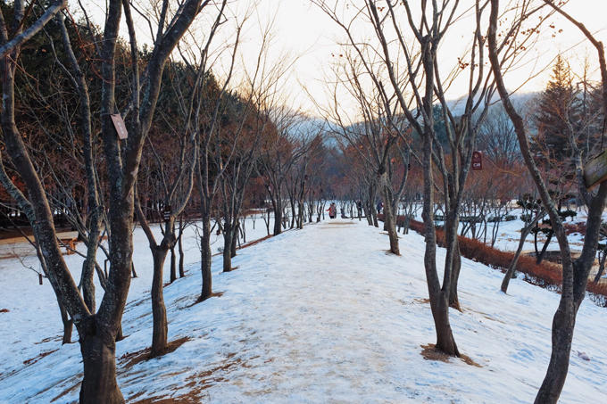 Bộ ảnh Hàn Quốc mùa đông làm xao xuyến chàng trai Việt - 5