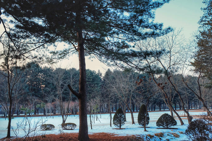 Bộ ảnh Hàn Quốc mùa đông làm xao xuyến chàng trai Việt - 2