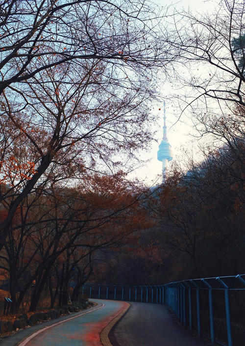 Bộ ảnh Hàn Quốc mùa đông làm xao xuyến chàng trai Việt - 12