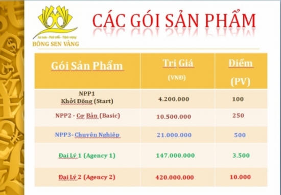 Công ty Bông Sen Vàng kinh doanh đa cấp “chui“?