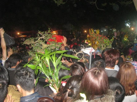 Chen lấn đến ngất xỉu ở chợ Viềng (Nam Định)