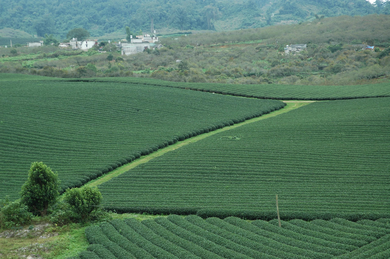 Cung đường “phượt” Mộc Châu lưu luyến chẳng nỡ về