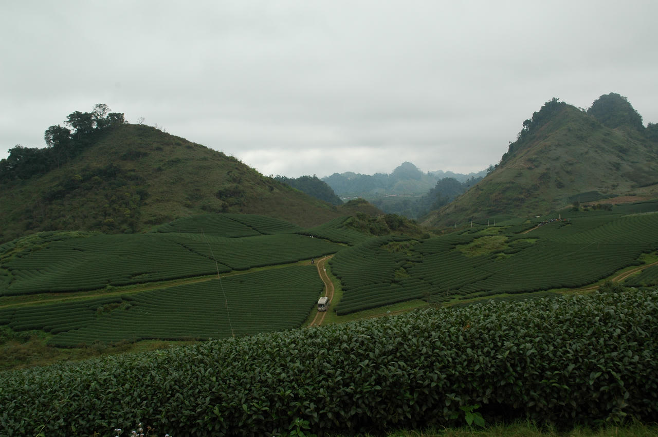 Cung đường “phượt” Mộc Châu lưu luyến chẳng nỡ về