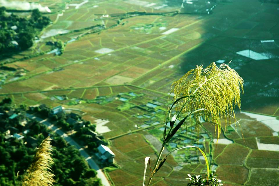 Cung đường “phượt” Mộc Châu lưu luyến chẳng nỡ về