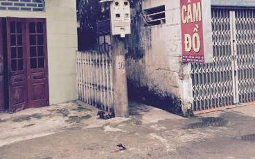 Nam Định: Một phụ nữ vô cớ chém chết 3 người