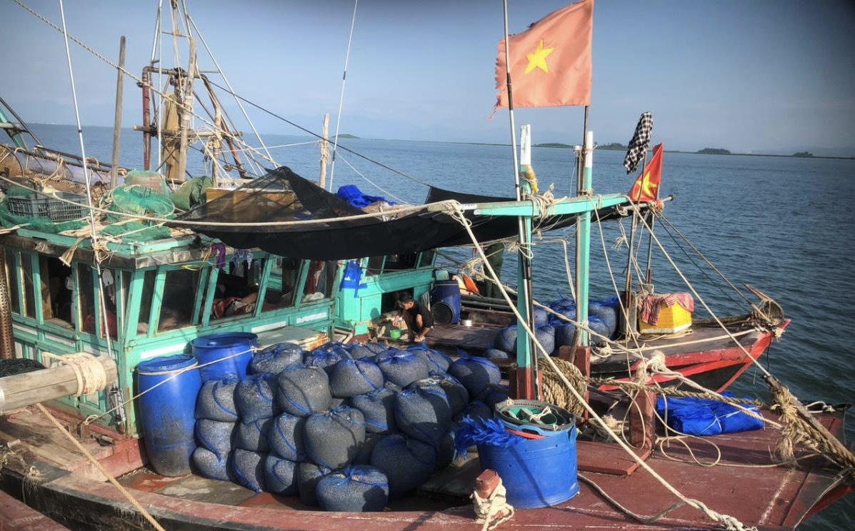 Thoát nỗi lo tàu cào nhám trên vùng biển Hải Hà - Móng Cái