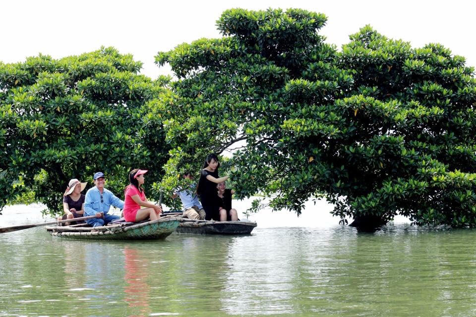 Đánh thức mùa thu vàng Tiên Yên