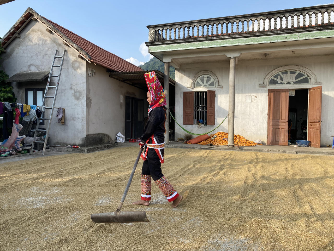 Đánh thức mùa thu vàng Tiên Yên