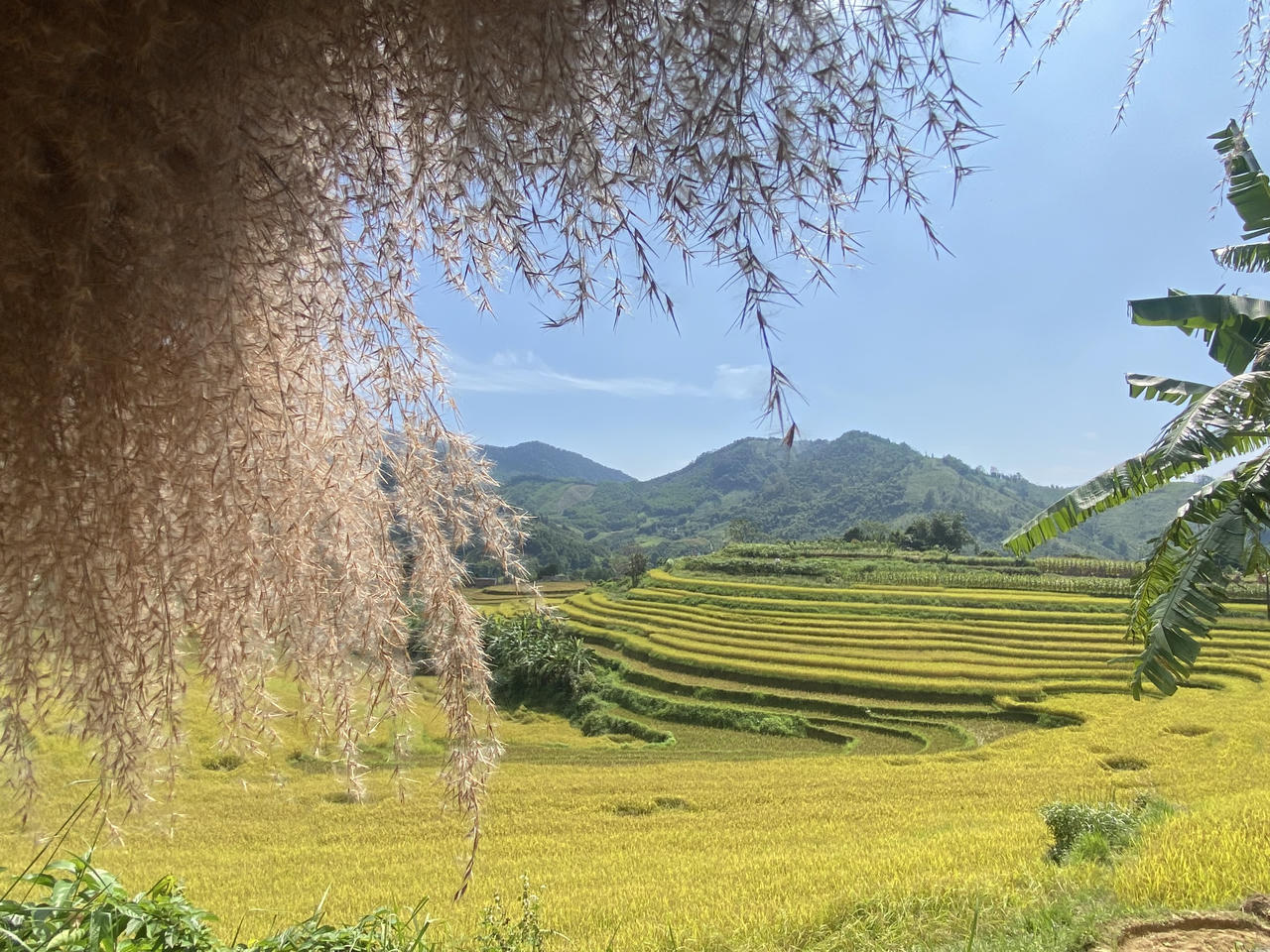 Đánh thức mùa thu vàng Tiên Yên