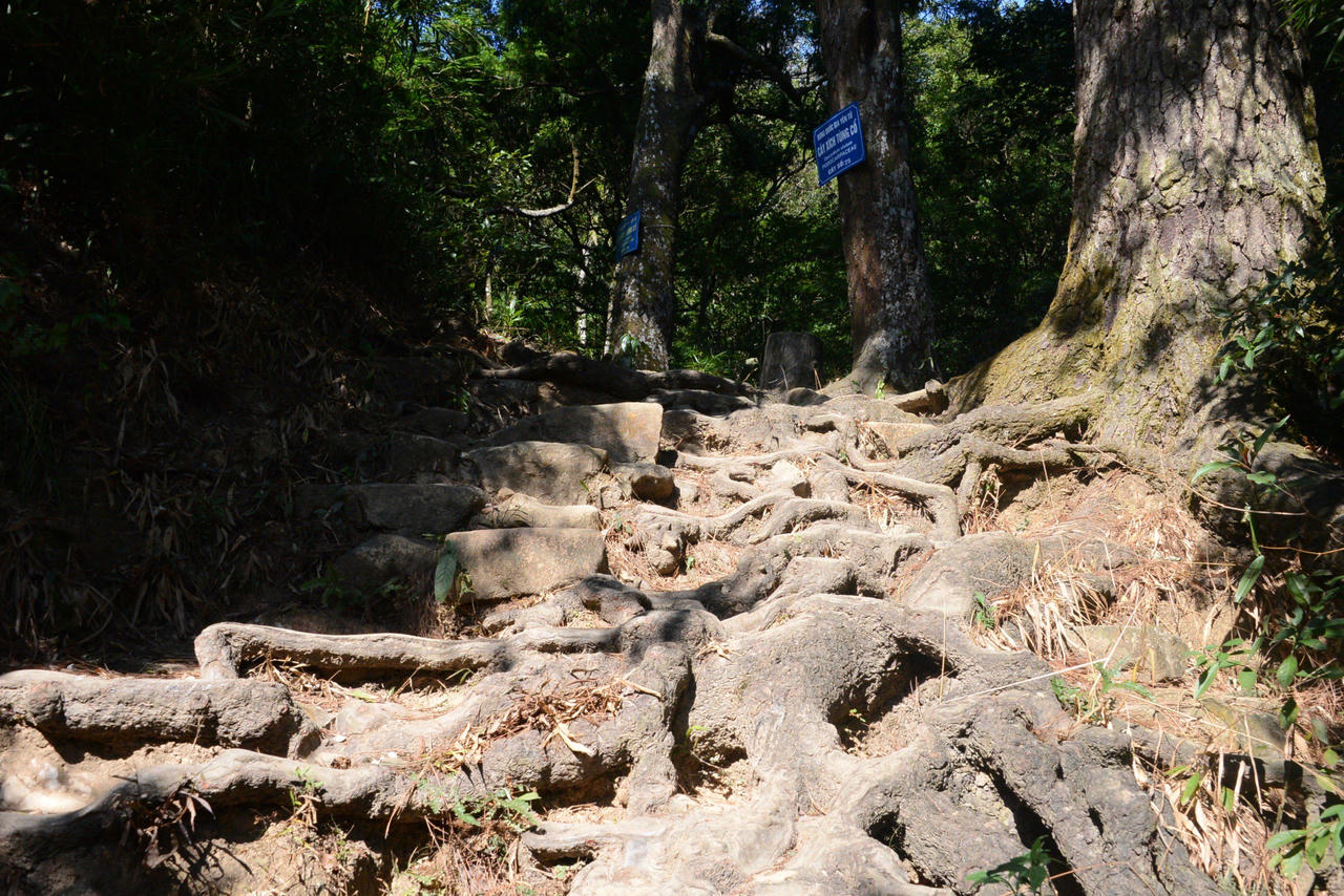 Về thăm các "cụ " Xích Tùng trên non thiêng Yên Tử