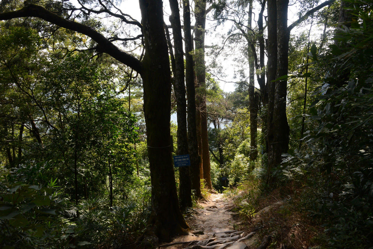 Về thăm các "cụ " Xích Tùng trên non thiêng Yên Tử