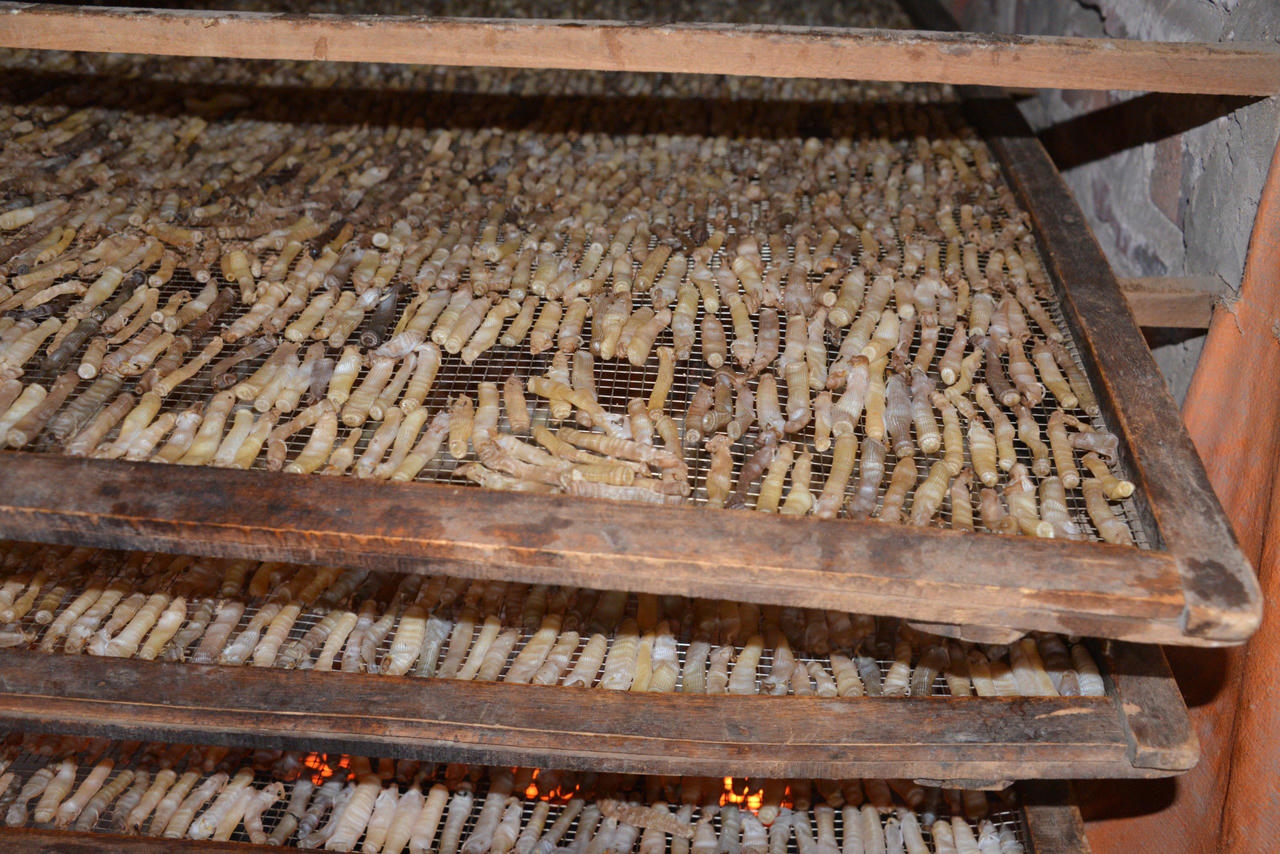 Về Quảng Ninh thưởng thức loại đặc sản 'đắt như vàng'