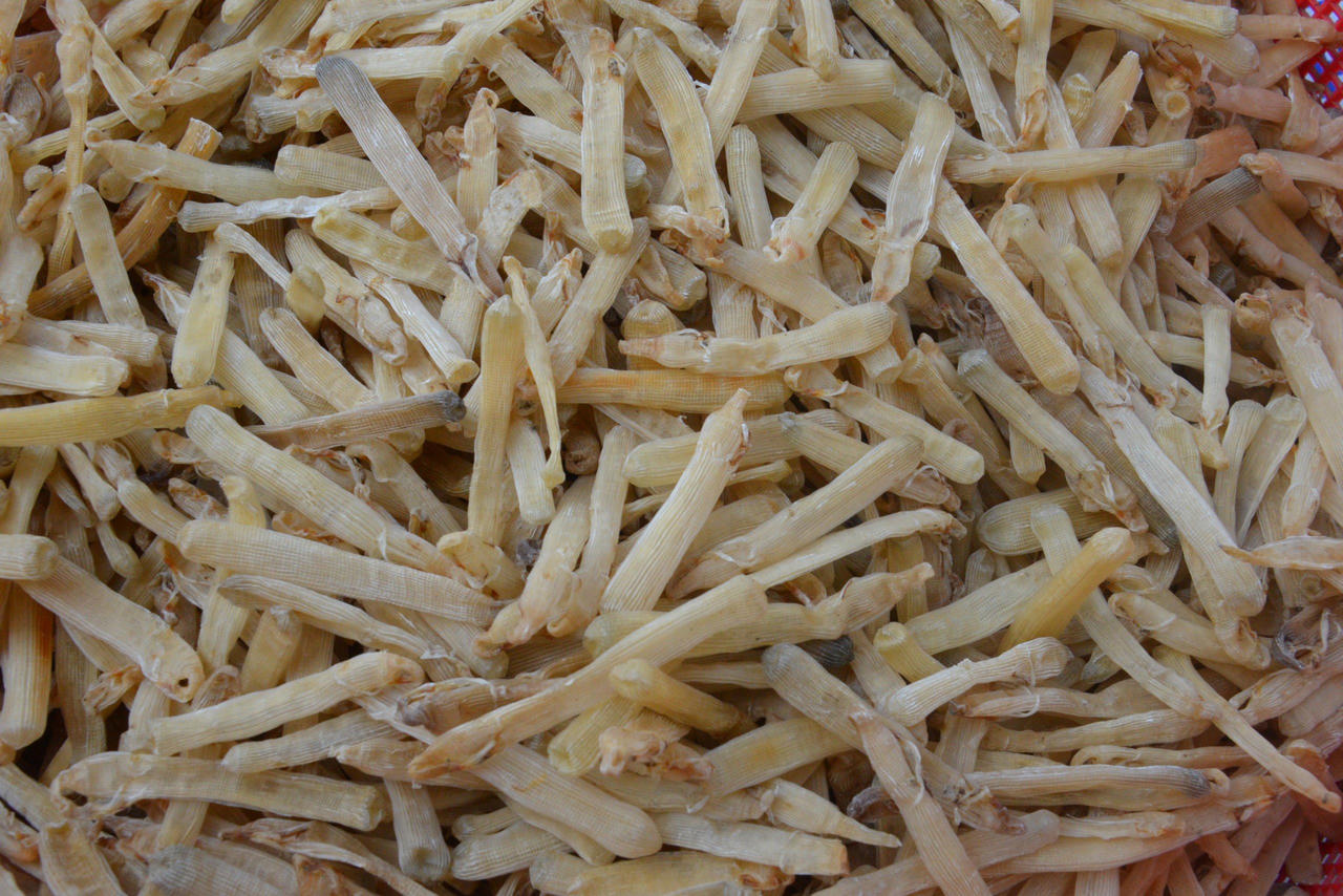 Về Quảng Ninh thưởng thức loại đặc sản 'đắt như vàng'