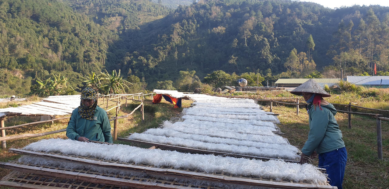  Miến dong Bình Liêu vào mùa Tết