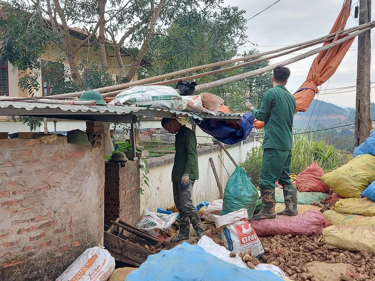  Miến dong Bình Liêu vào mùa Tết