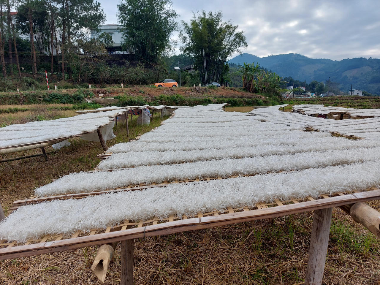  Miến dong Bình Liêu vào mùa Tết