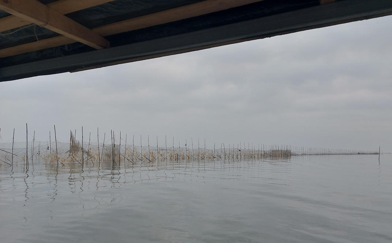 Lo mất chốn mưu sinh vì hàng trăm héc-ta bãi triều ở Móng Cái bị lấn chiếm, phân lô