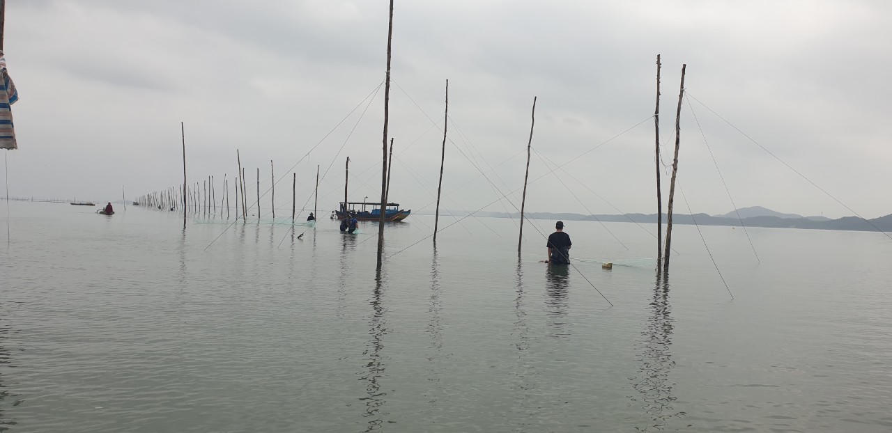 Lo mất chốn mưu sinh vì hàng trăm héc-ta bãi triều ở Móng Cái bị lấn chiếm, phân lô