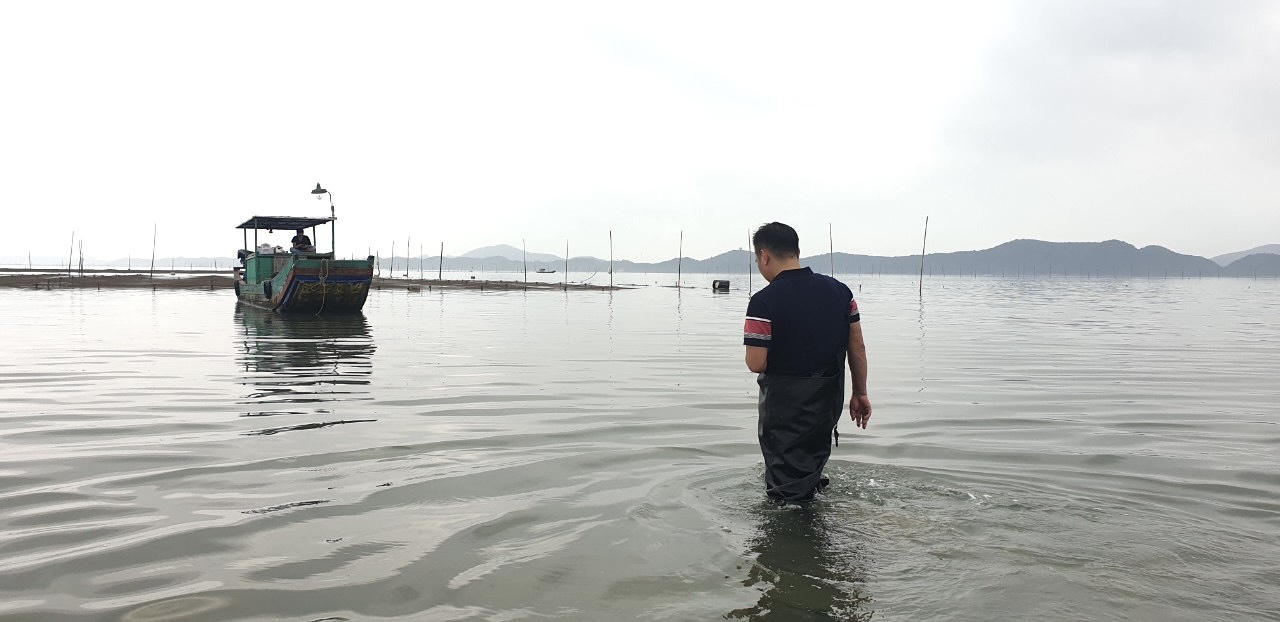 Quyết liệt xử lý tình trạng lấn chiếm bãi triều ở Móng Cái sau bài phản ánh của Báo Pháp luật Việt Nam