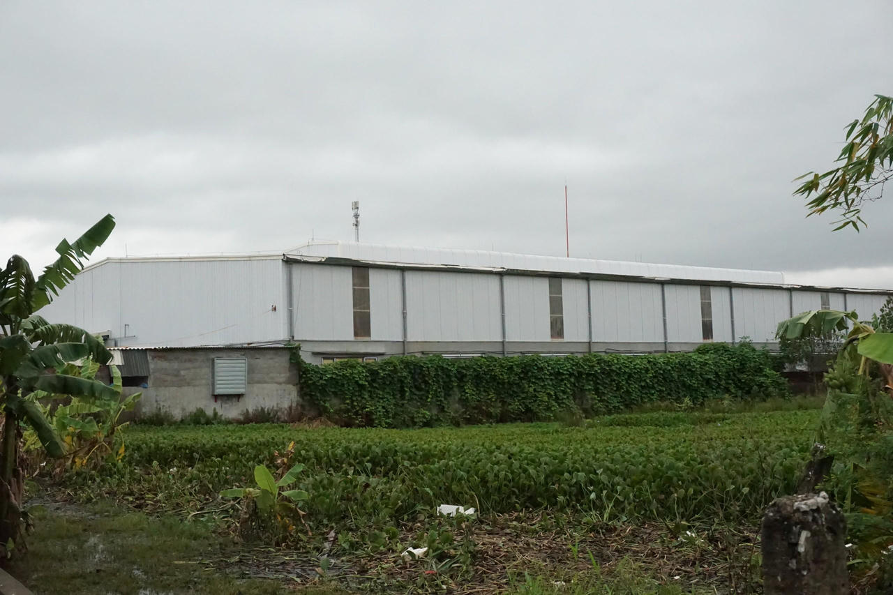 Đông Hưng (Thái Bình): Nhà xưởng ngang nhiên xây dựng không phép trên đất nông nghiệp 