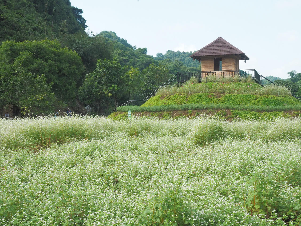 Thung Nham (Ninh Bình): Bản hòa tấu thơ mộng và bình yên