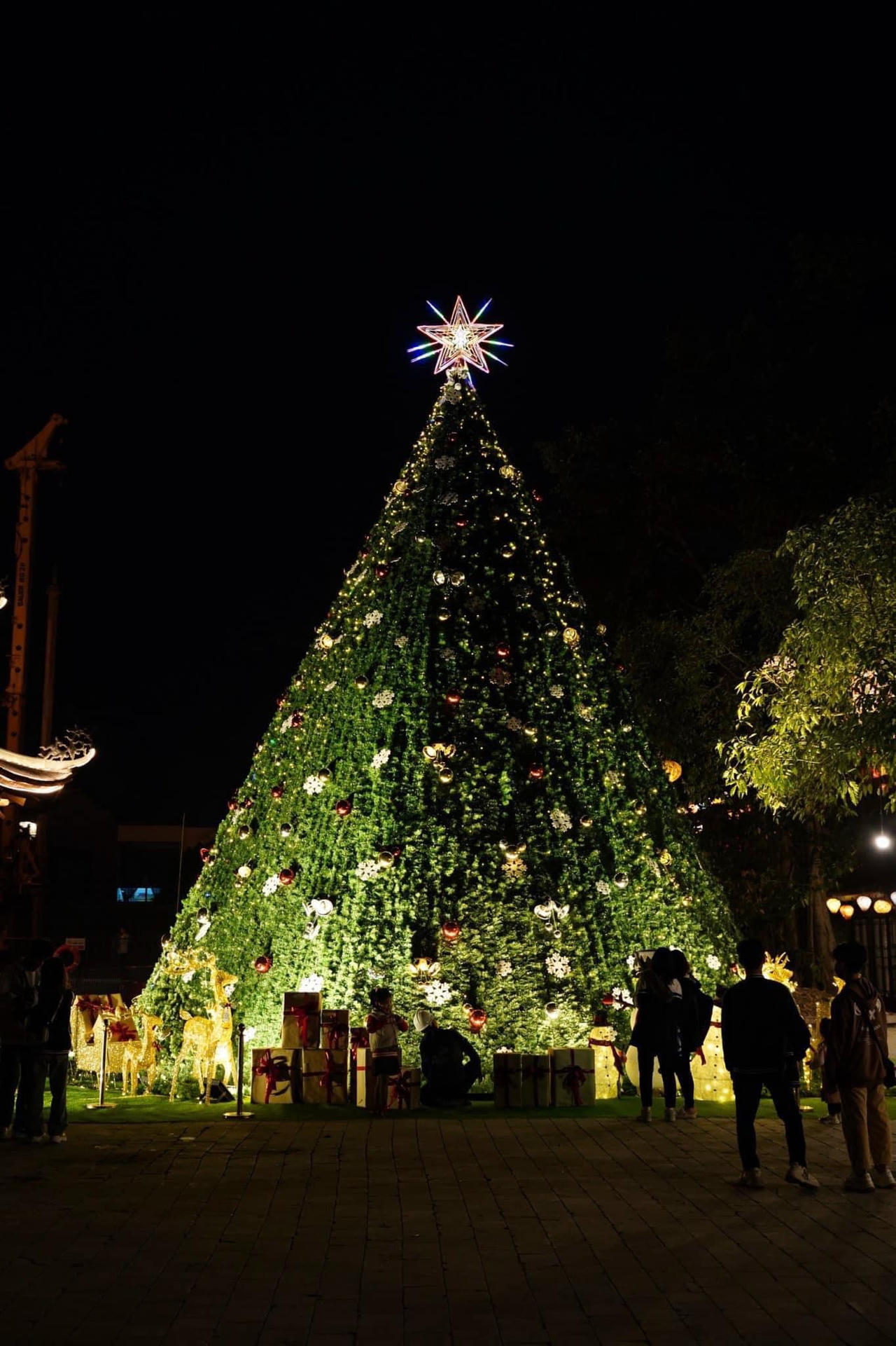 Ninh Bình lung linh đón mừng lễ Giáng sinh 2022