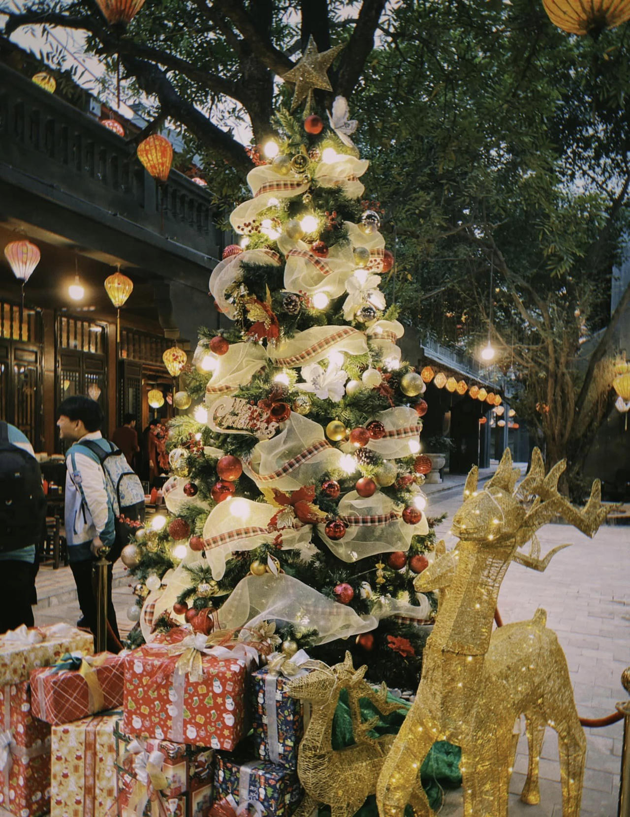 Ninh Bình lung linh đón mừng lễ Giáng sinh 2022