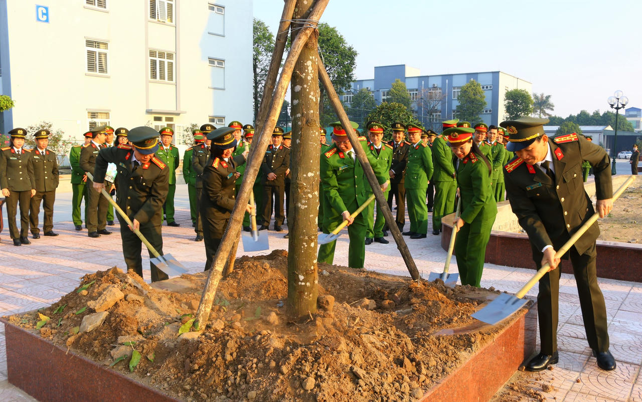 Cả nước tích cực 'ra quân' hưởng ứng Tết trồng cây