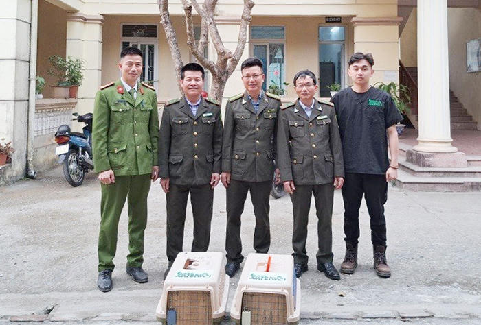 Nhiều động vật hoang dã liên tiếp được cứu hộ về Vườn Quốc gia Cúc Phương