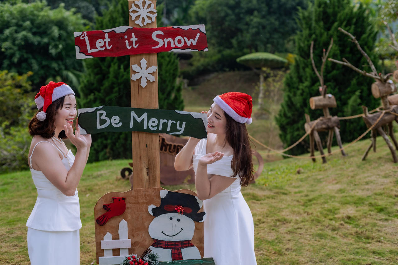 Vườn cúc họa mi 'gây sốt' ở Ninh Bình