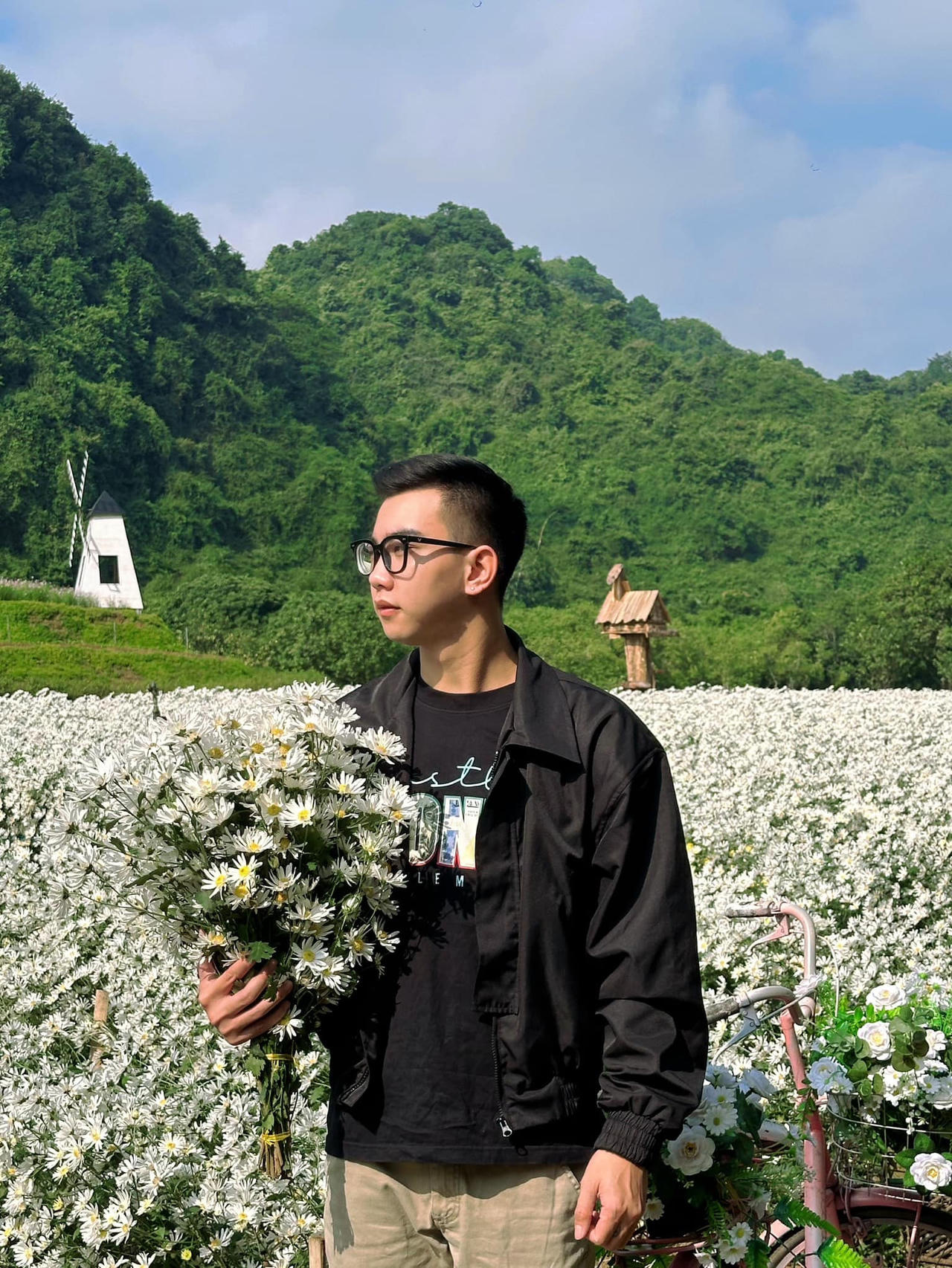 Vườn cúc họa mi 'gây sốt' ở Ninh Bình