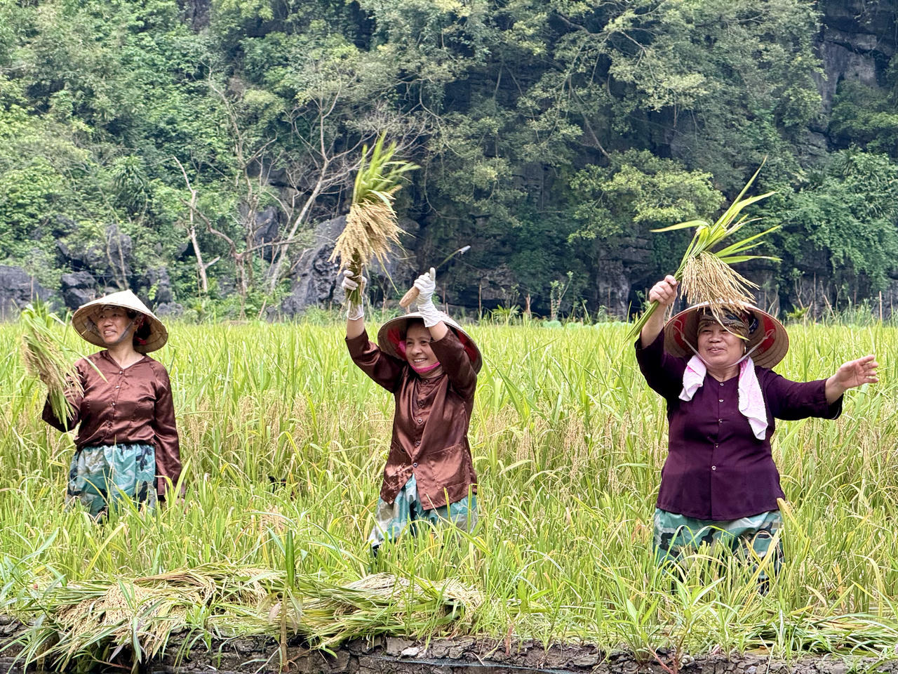 Khai mạc Tuần du lịch Ninh Bình - Lễ hội Sắc vàng Tam Cốc năm 2024