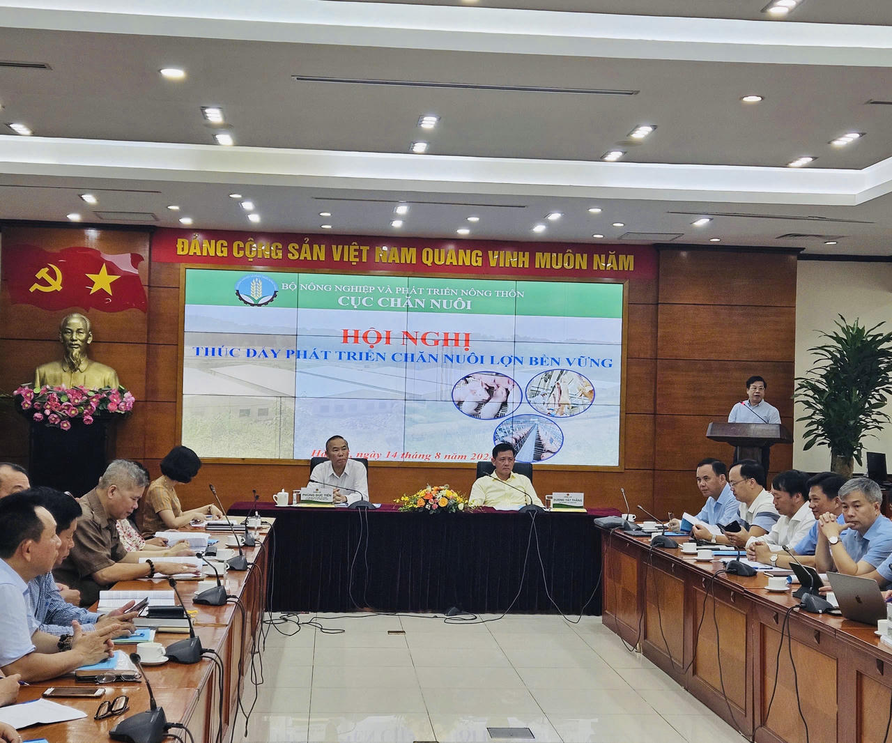 Tạo 'cú hích' thúc đẩy ngành chăn nuôi lợn phát triển bền vững