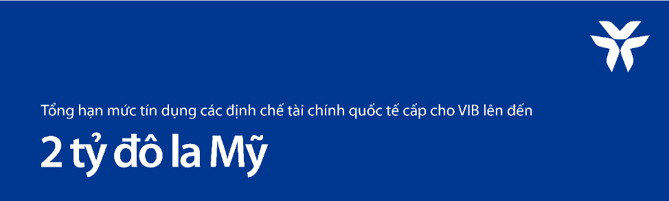 Lợi nhuận 6 tháng đầu năm 2023 của VIB tăng 12%, ROE đạt 29%