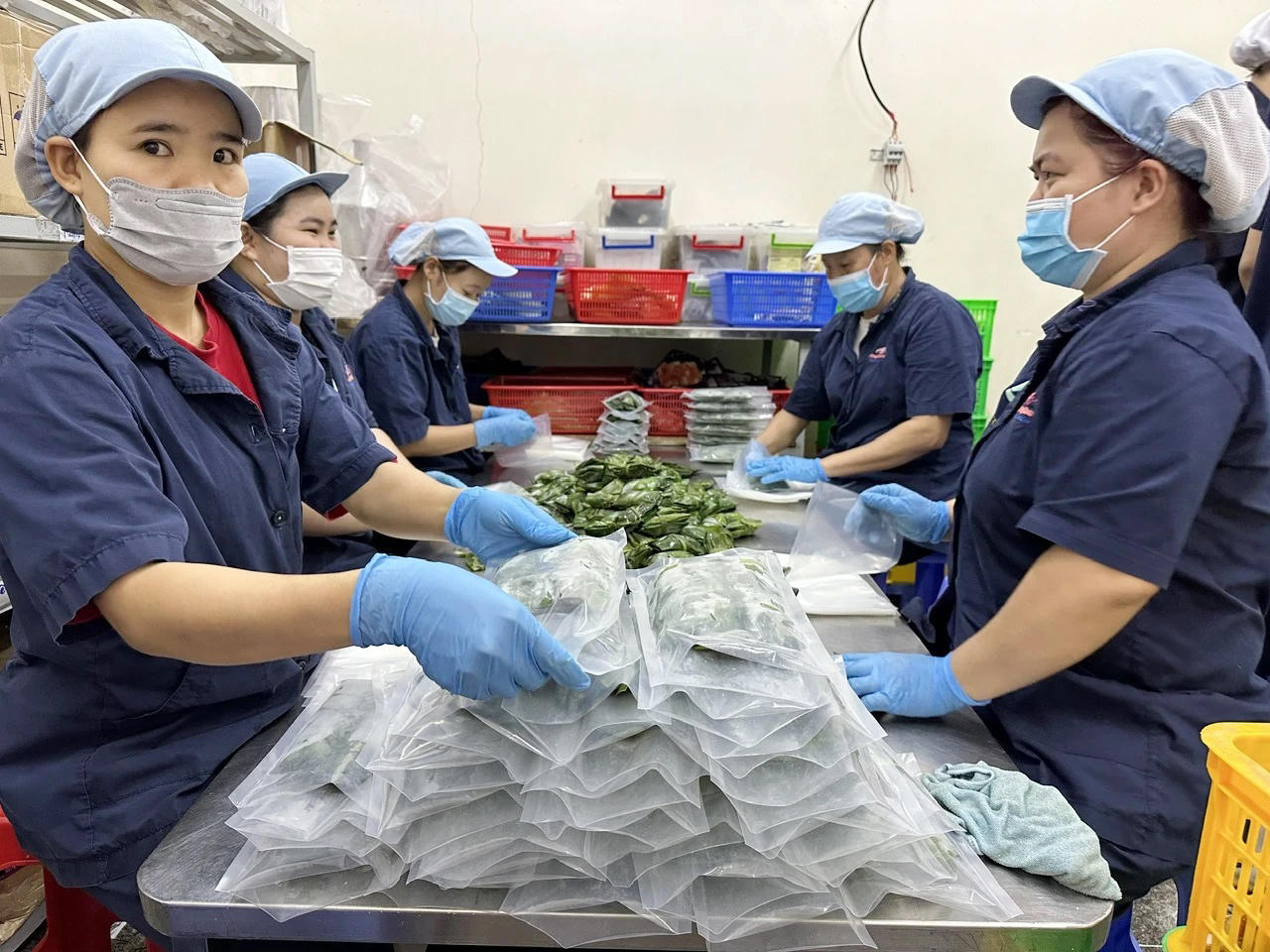 Mục tiêu 1,5 triệu doanh nghiệp năm 2025: Đẩy nhanh chuyển đổi hộ kinh doanh