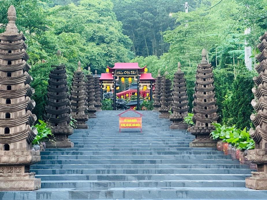 Cây thị gần 400 năm tuổi tại ngôi chùa cổ ở Hà Nam