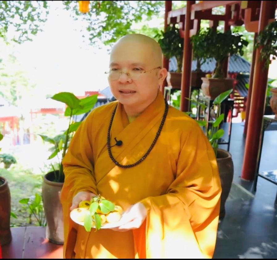 Cây thị gần 400 năm tuổi tại ngôi chùa cổ ở Hà Nam