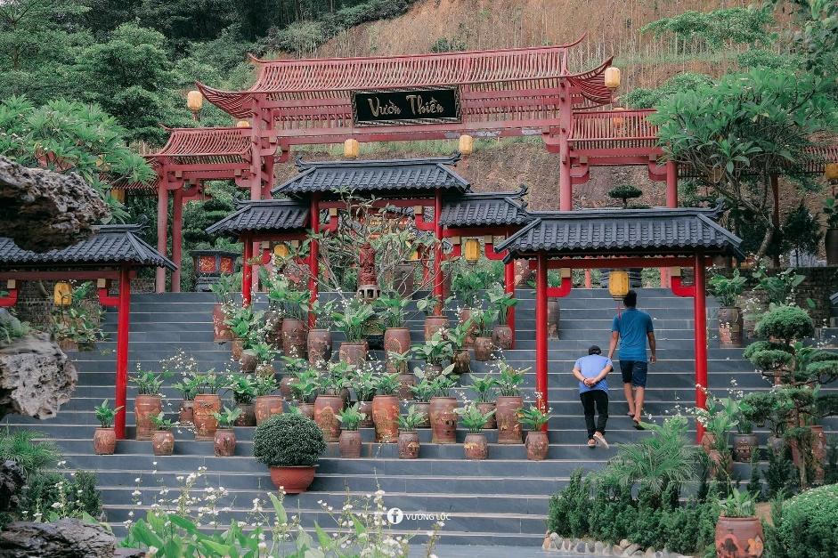 Cây thị gần 400 năm tuổi tại ngôi chùa cổ ở Hà Nam