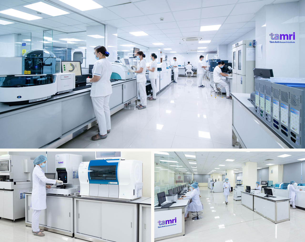 Đại học Oxford và Viện Nghiên cứu, Bệnh viện Tâm Anh ký hợp tác song phương