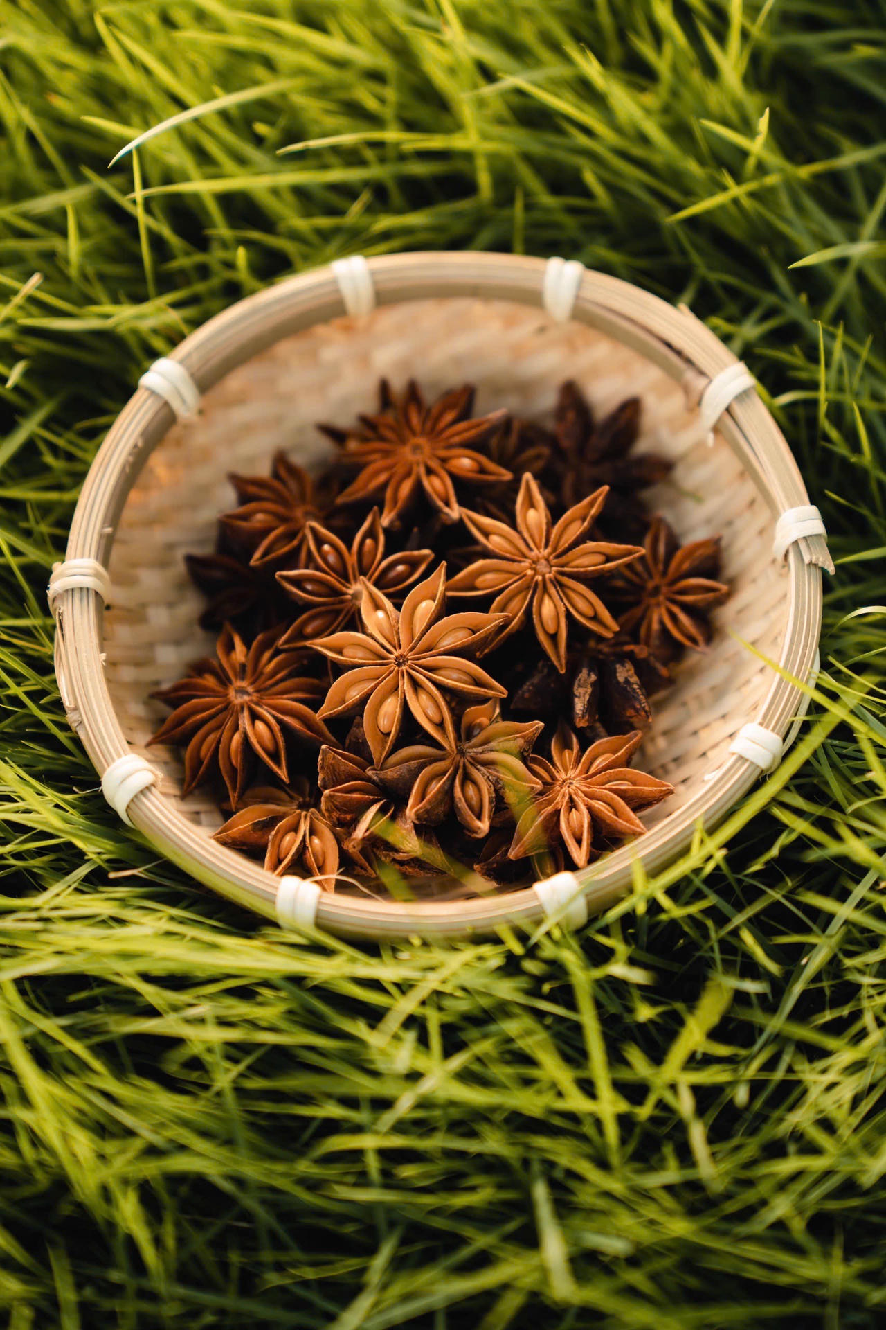 Lối đi nào cho nông sản chế biến?