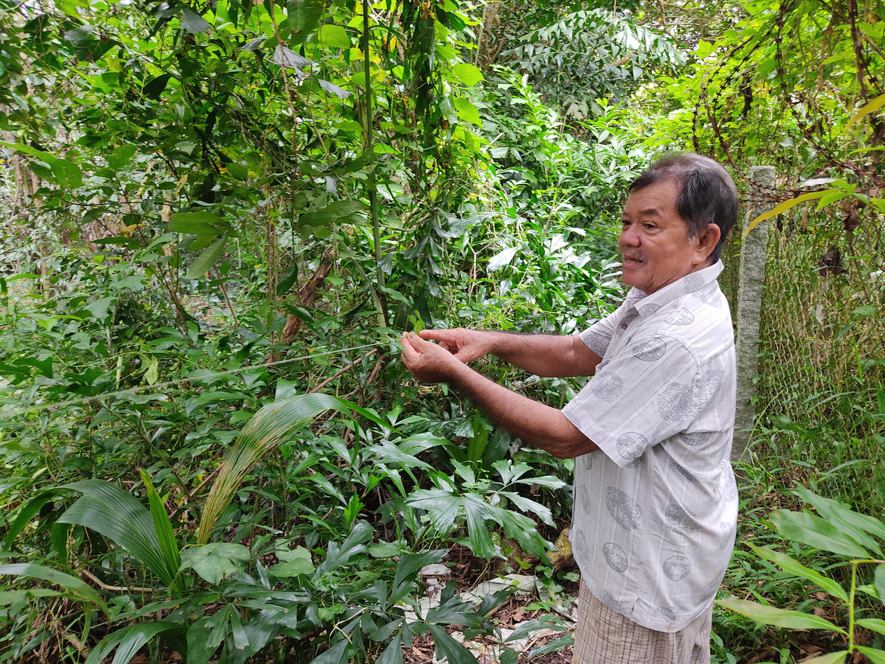 Mối duyên đặc biệt của người đàn ông ở Vĩnh Long với hàng nghìn con chim trời