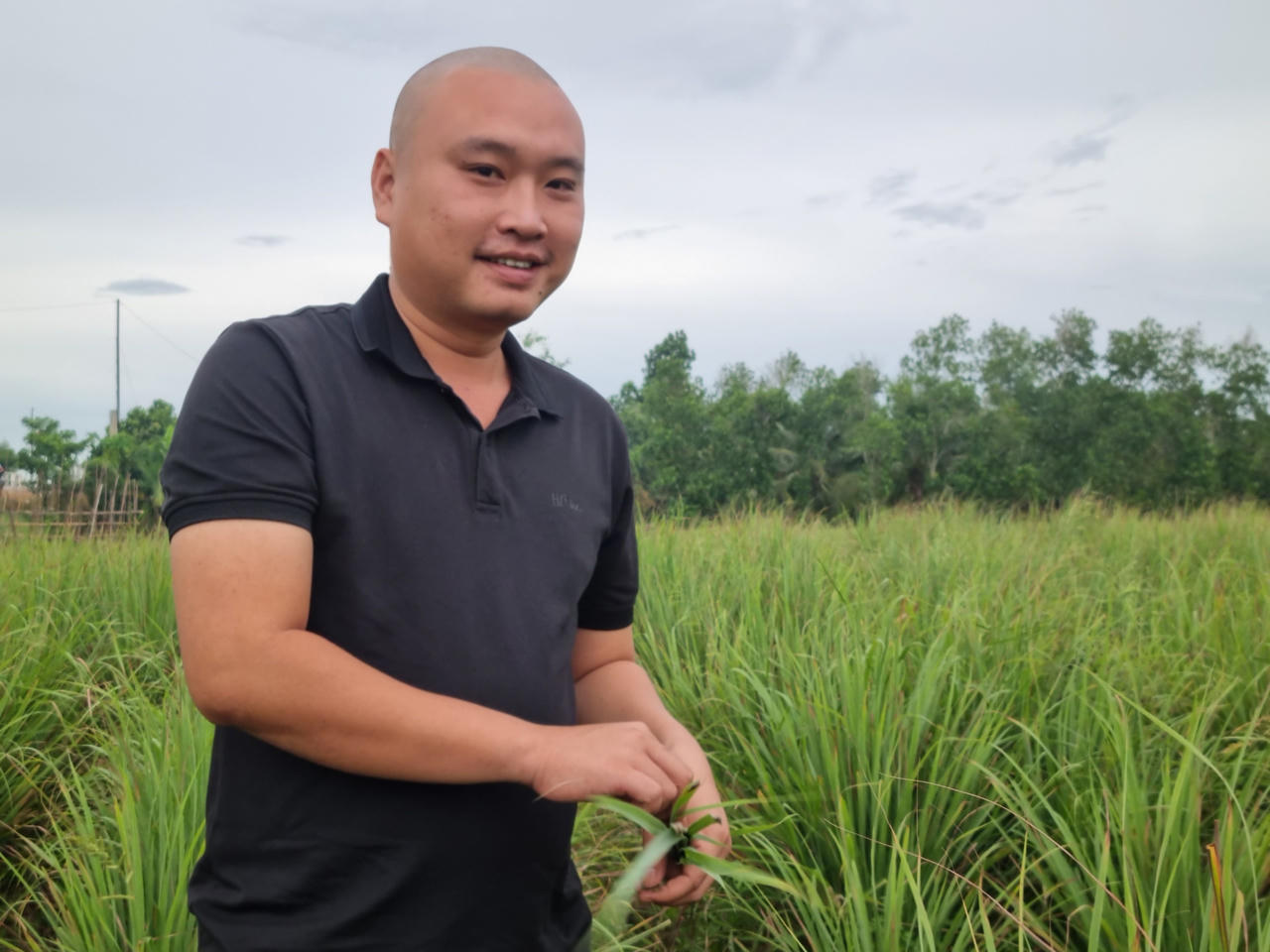 Hành trình tạo thương hiệu cho cây sả của thanh niên 9x ở Vĩnh Long 