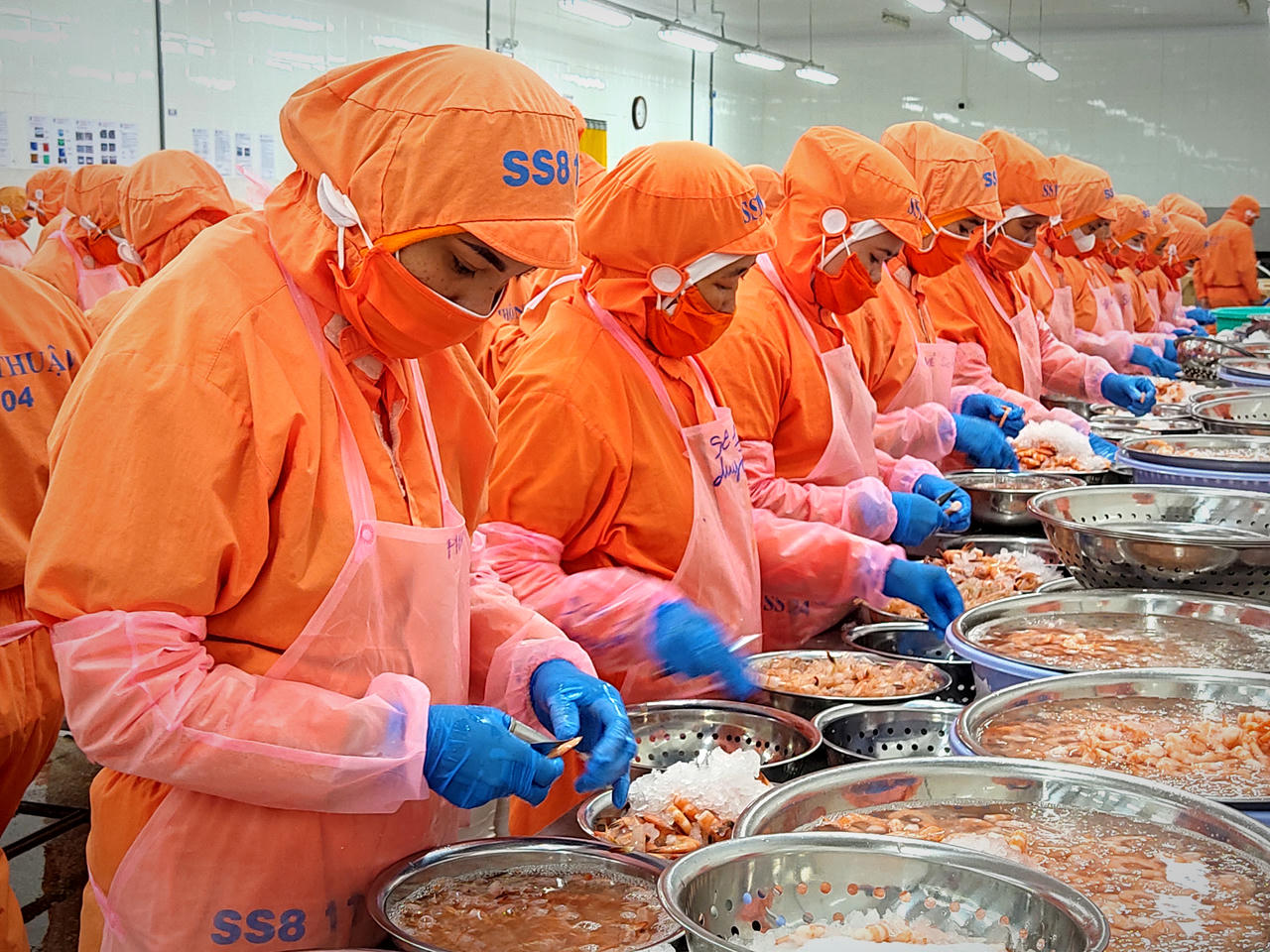 Doanh nghiệp Trà Vinh vượt khó, chăm lo công nhân lao động