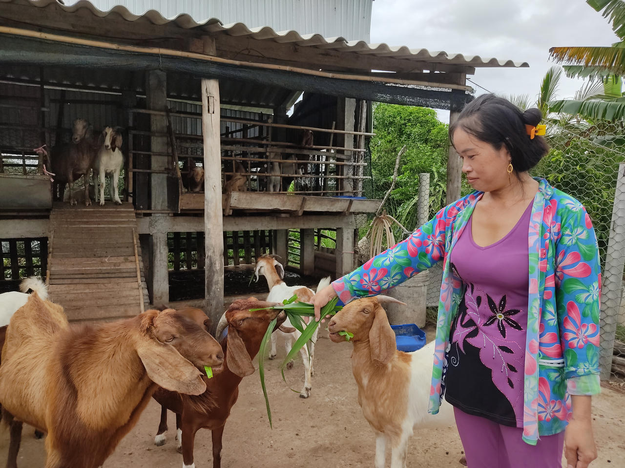 Hiệu quả từ nguồn vốn chính sách xã hội cho bà con nghèo vùng ven biển